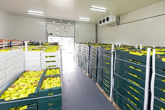 Cold Storage